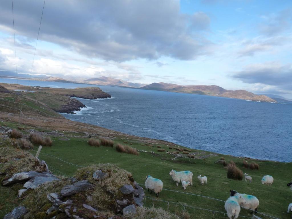 Skellig Cottages Балинскелигс Екстериор снимка